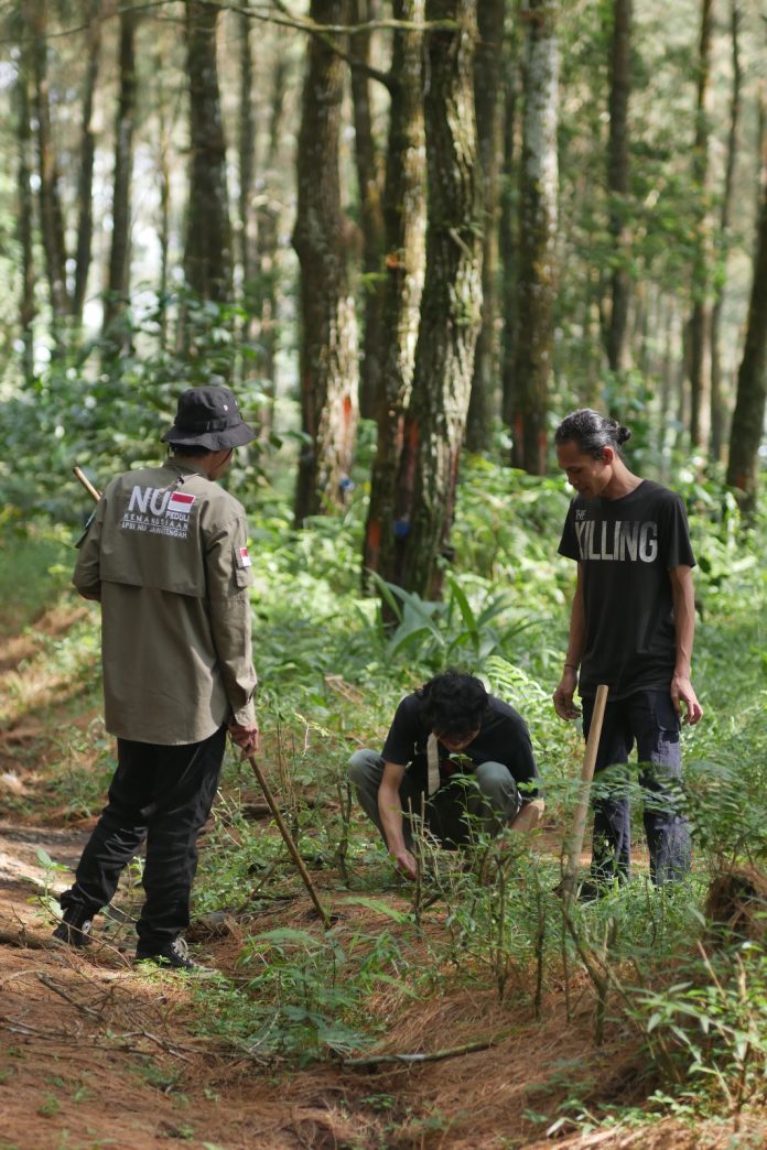 LPBI NU Batang Tanam 650 Pohon di Curug Genting, Gerakkan Semangat Hijaukan Alam