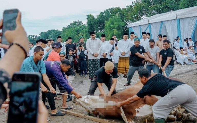 Bolehkah Menyembelih Hewan Kurban Sebelum Sholat Ied? Begini Keputusan Bahtsul Masa’il PCNU Batang